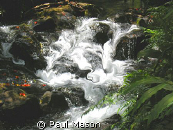 CACADE IN HAWAII by Paul Mason 